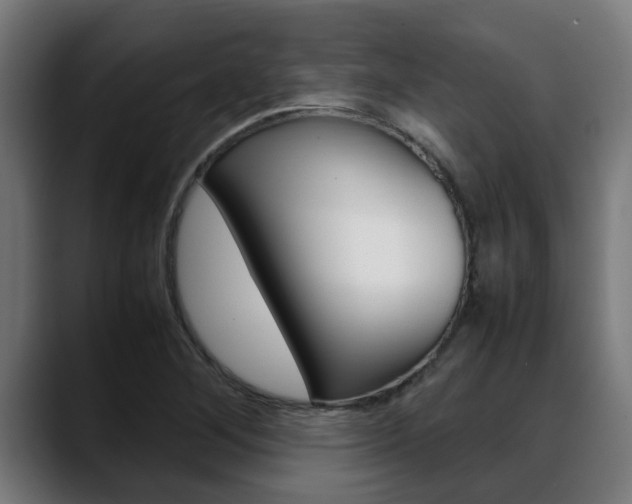 X0000088641268200705250911