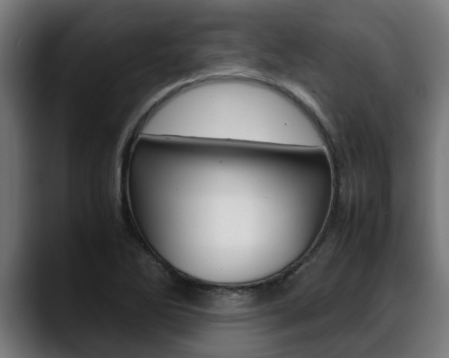 X0000088641270200705250911