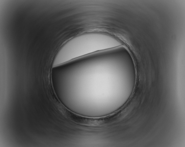 X0000088641273200705250911