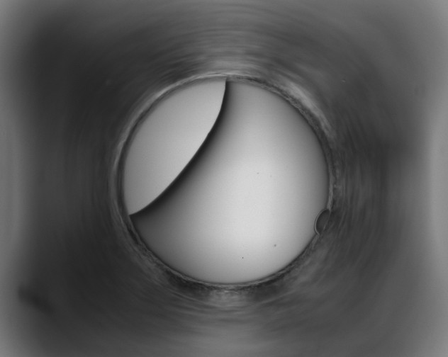 X0000088641275200705250911