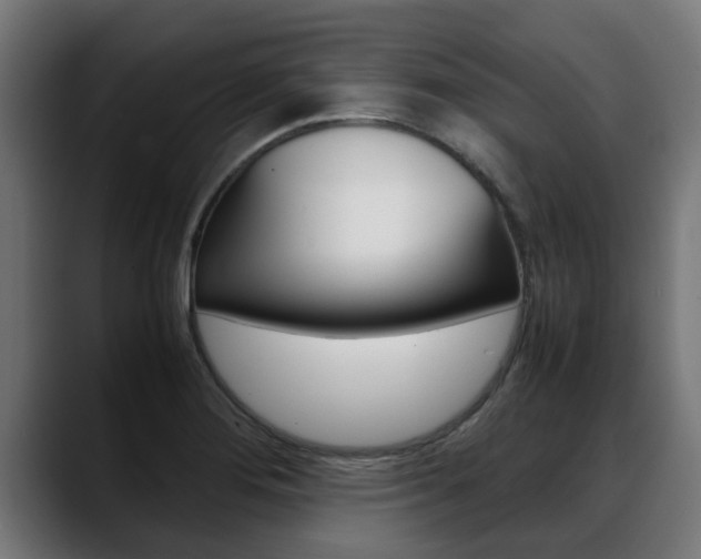 X0000088641276200705250911