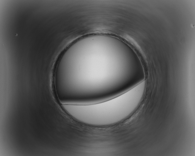 X0000088641277200705250911