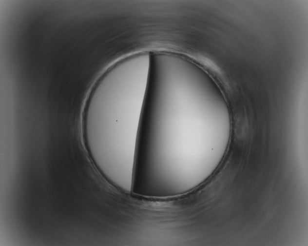 X0000088641280200705250911
