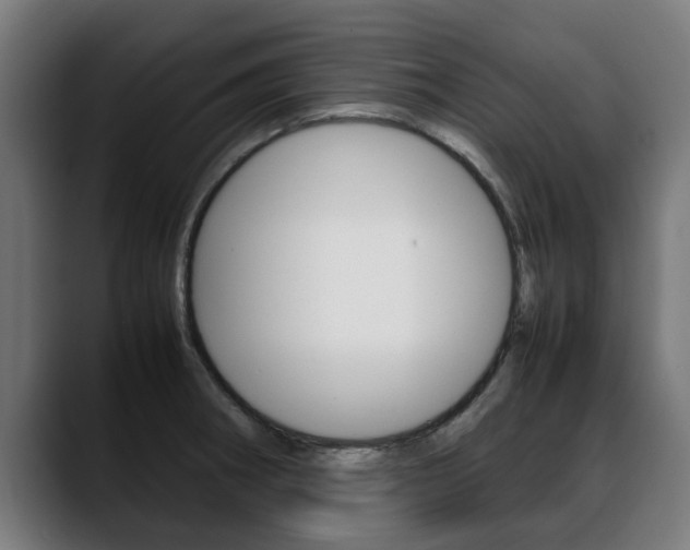 X0000088641282200705250911