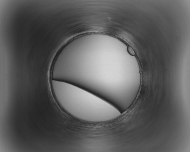 X0000088641283200705250911