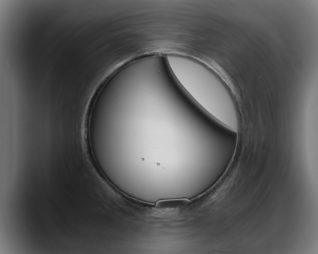 X0000088641285200705250911