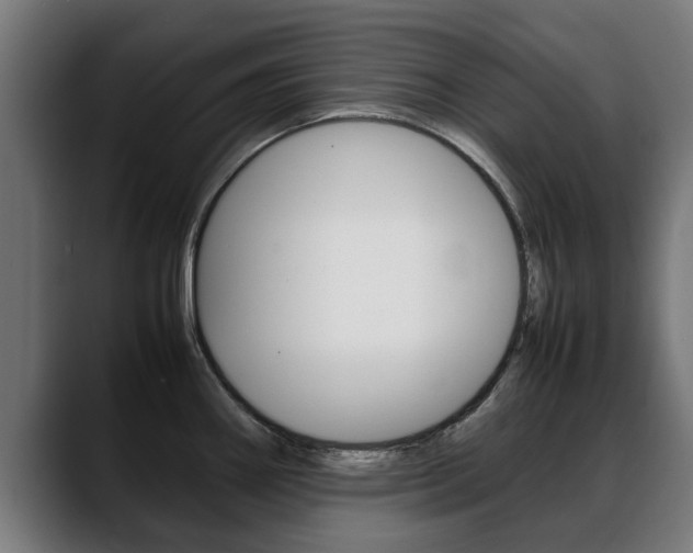 X0000088641290200705250911