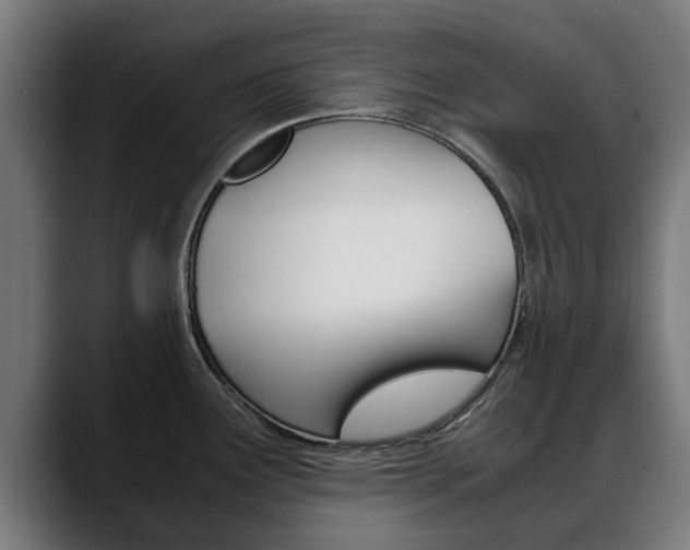 X0000088641291200705250911