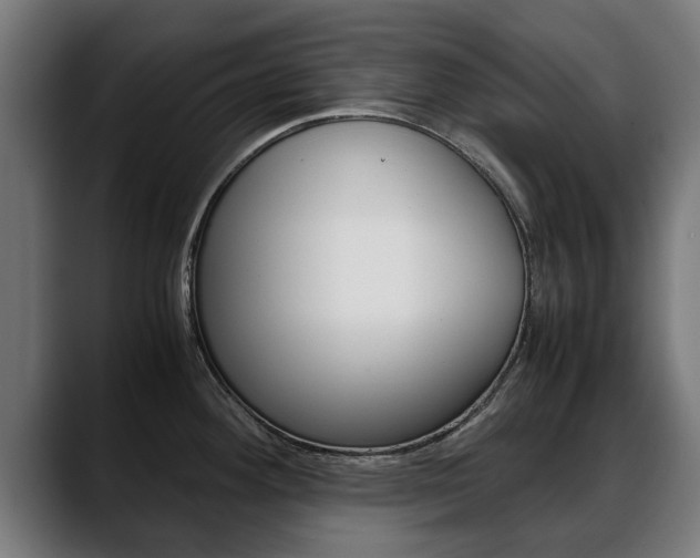 X0000088641292200705250911