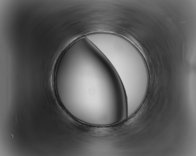 X0000088641293200705250911