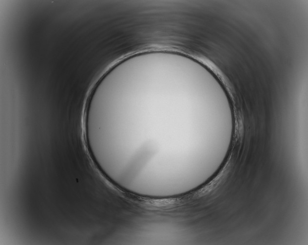 X0000088641294200705250911