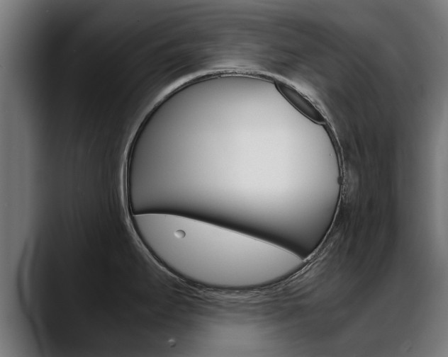 X0000088641295200705250911