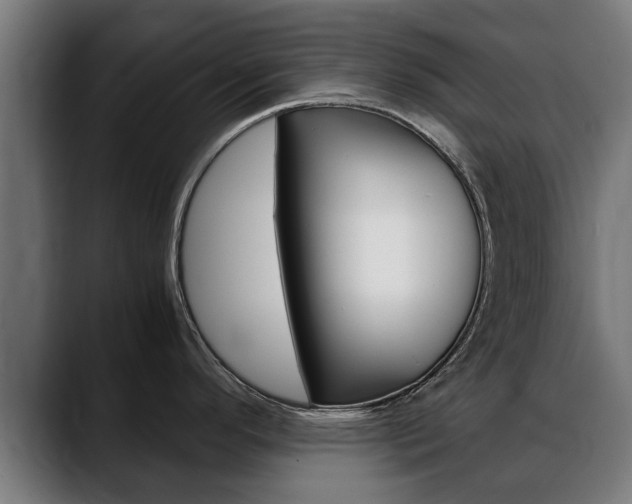 X0000088641296200705250911