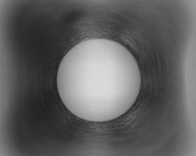 X0000088641298200705250910