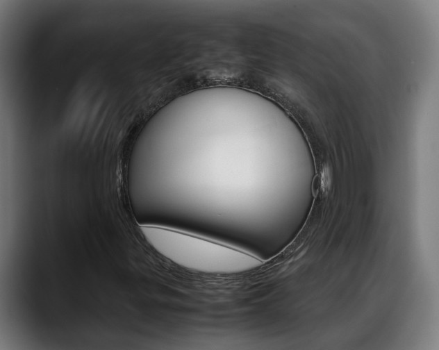 X0000088641299200705250910