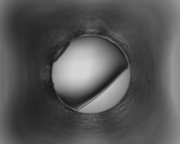 X0000088641301200705250910