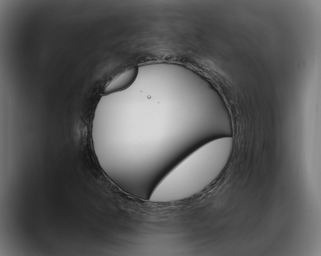 X0000088641302200705250910