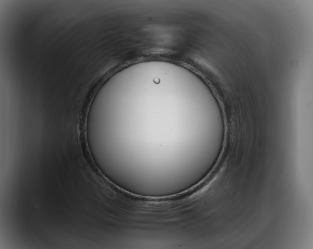 X0000088641305200705250910