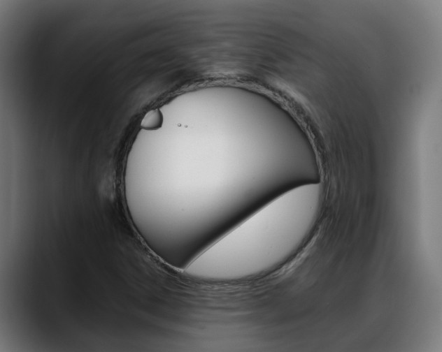 X0000088641306200705250910