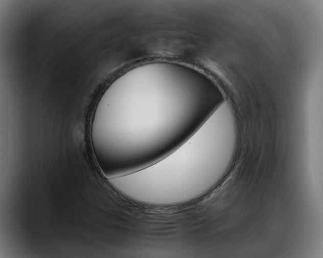 X0000088641307200705250910