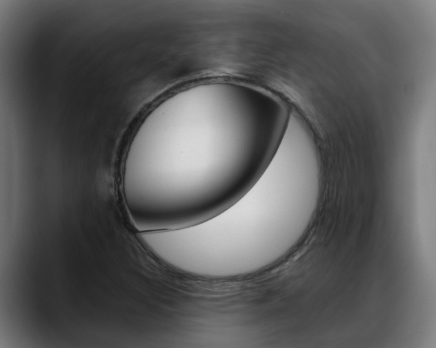 X0000088641308200705250910