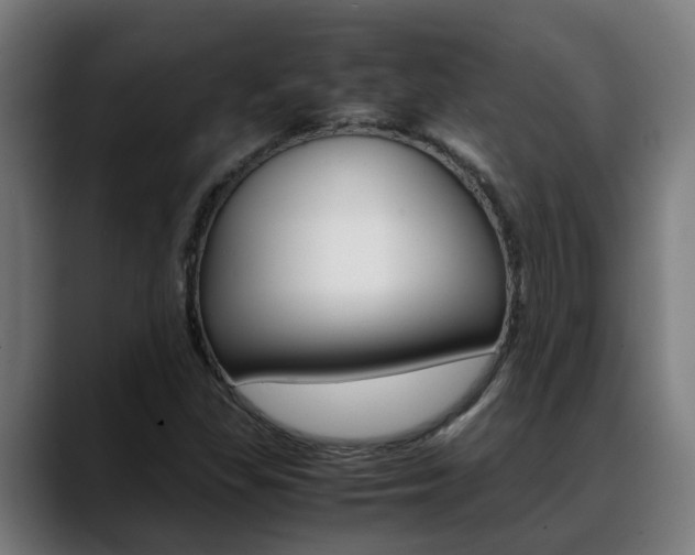 X0000088641309200705250910
