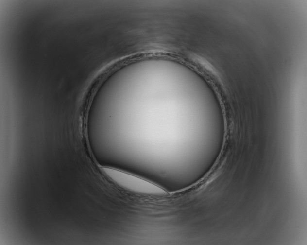 X0000088641310200705250910