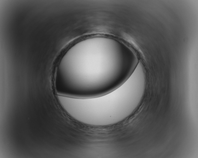 X0000088641312200705250910