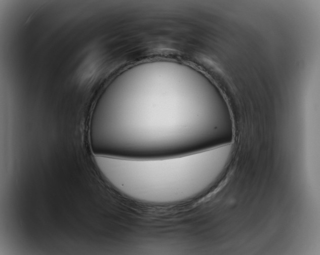X0000088641313200705250910