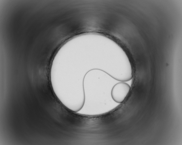 X0000088641314200705250910