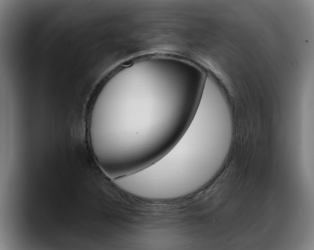 X0000088641316200705250910