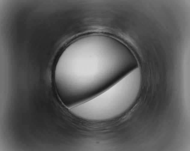 X0000088641318200705250910