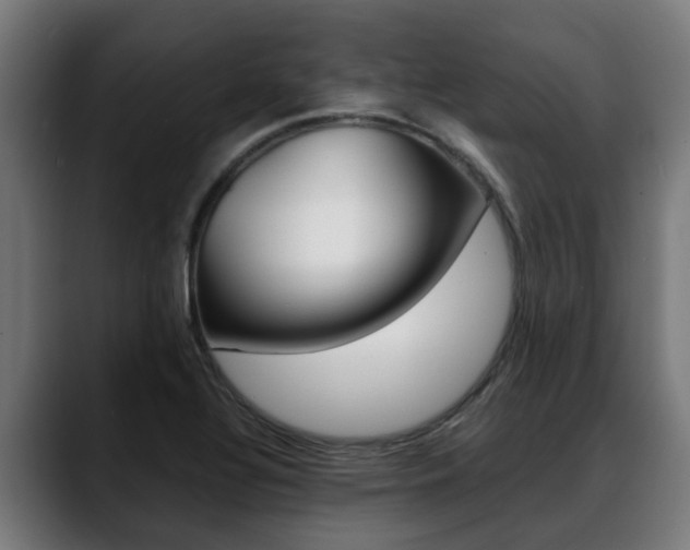 X0000088641320200705250910
