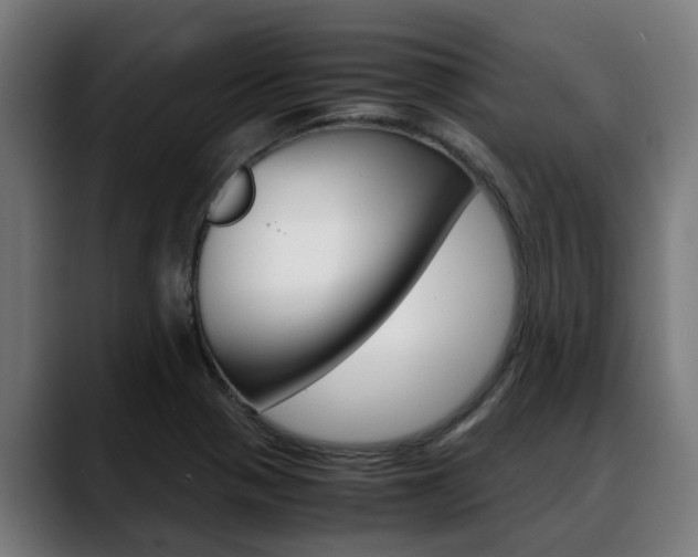 X0000088641321200705250910