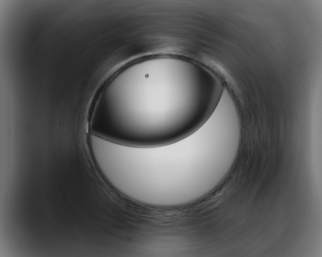 X0000088641324200705250910