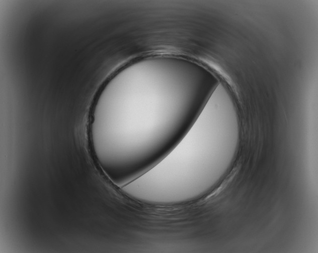 X0000088641325200705250910