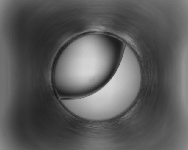 X0000088641326200705250910