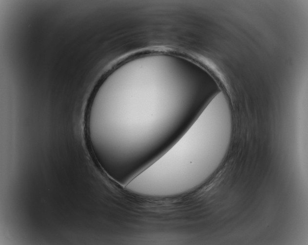 X0000088641327200705250910