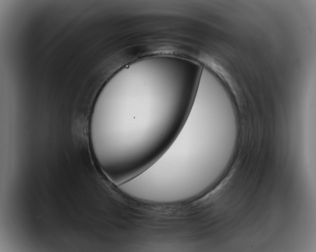 X0000088641329200705250910