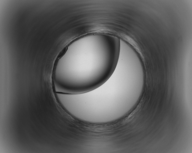 X0000088641330200705250910