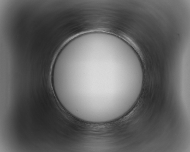 X0000088641332200705250911