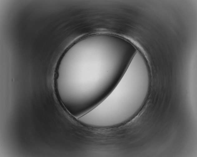 X0000088641333200705250911