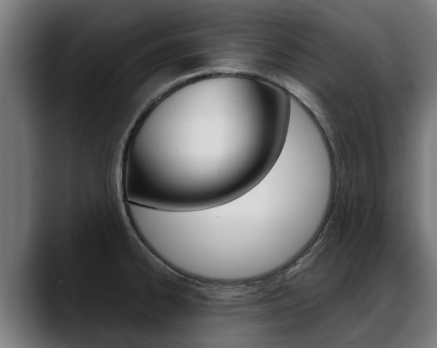 X0000088641334200705250911