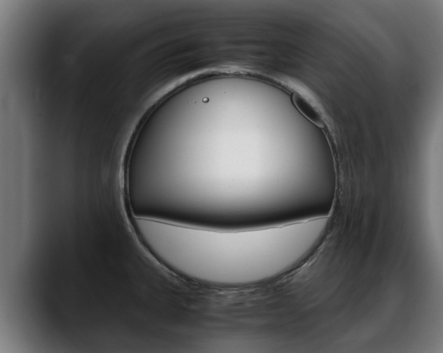 X0000088641335200705250911