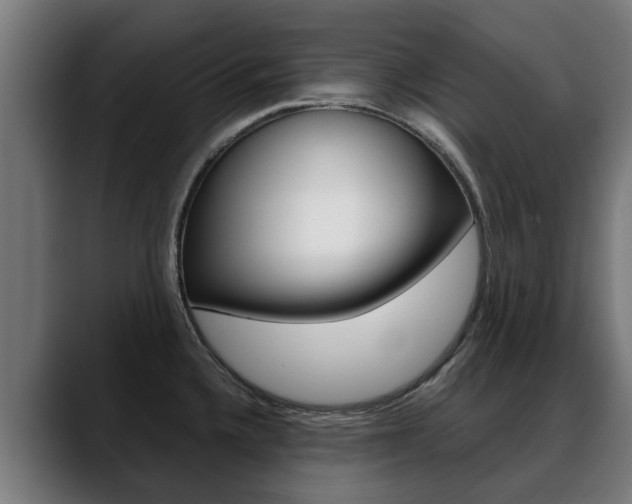 X0000088641336200705250911