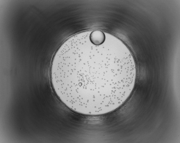 X0000088641338200705250911