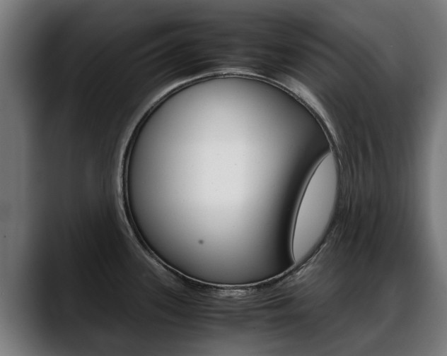 X0000088641339200705250911