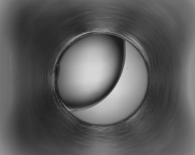 X0000088641340200705250911