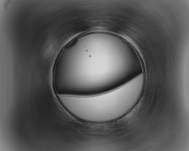 X0000088641341200705250911
