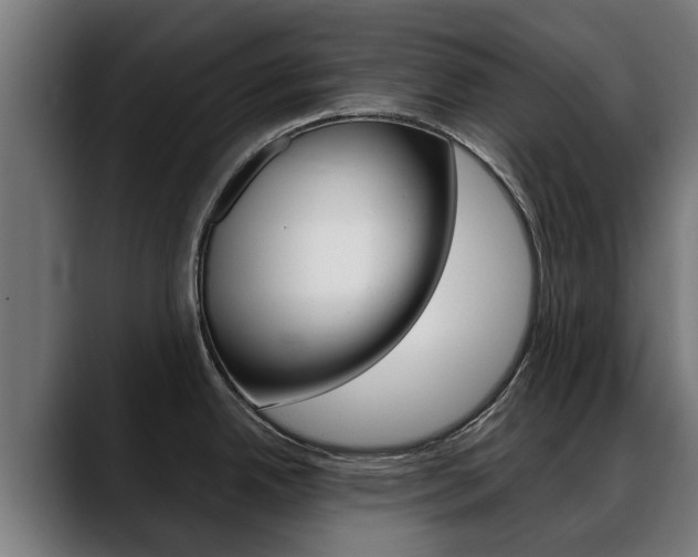 X0000088641342200705250911